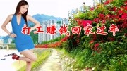 一首《打工赚钱回家过年》背井离乡的人快回家,超级好听!音乐背景音乐视频音乐爱奇艺