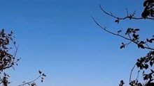 爱的桥梁曲谱_爱的桥梁手抄报(2)