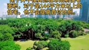 南宁2020年最新房贷首付比例政策,你准备好买房了吗?#dou出新知原创完整版视频在线观看爱奇艺