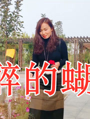 孙艺琪一曲酒醉的蝴蝶女声版另有一番韵味希望你能喜欢