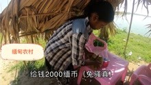疫情期间缅甸旅游，走进缅甸农村，感受乡村风光