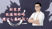 卧室里放植物好吗?摆什么最旺运?生活完整版视频在线观看爱奇艺