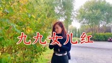 曲谱歌曲九九女儿红