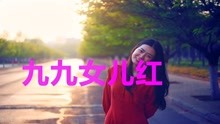 曲谱歌曲九九女儿红(3)