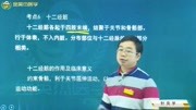 十二经筋:概念、作用及临床意义,与十二经脉的区别知识名师课堂爱奇艺