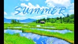 【钢琴/纯音乐】《summer》菊次郎的夏天