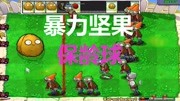 大大坚果无敌碾压僵尸【植物大战僵尸】游戏完整版视频在线观看爱奇艺