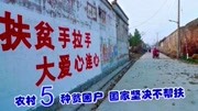 2020年农村低保或迎大严查,5类人国家坚决不扶,希望没有你生活完整版视频在线观看爱奇艺