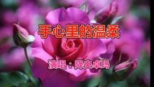 歌曲手心里的温柔的曲谱_手心里的温柔