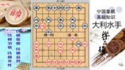 象棋特级大师王嘉良20赵庆阁和王嘉良体育高清正版视频在线观看–爱奇艺