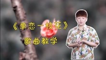 单恋一枝花吉他曲谱_单恋一枝花