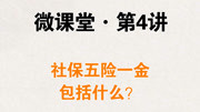 微课堂 | 第4讲:社保五险一金包括什么?知识名师课堂爱奇艺