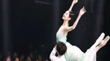 为什么《舞蹈风暴》没有像金星和杨丽萍这样级别的评委？