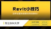 BIM小技巧:Revit怎样设置快速更改背景颜色?知识名师课堂爱奇艺