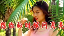 想你时候问月亮歌曲曲谱_想你的时候问月亮曲谱