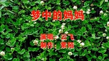 梦中的妈妈云飞简谱_云飞 梦中的妈妈(3)