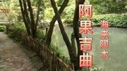 海来阿木歌曲《阿果吉曲》音乐背景音乐视频音乐爱奇艺