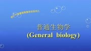 第23章 DNA重组技术简介健康完整版视频在线观看爱奇艺