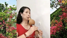葫芦丝演奏映山红独奏曲谱