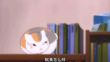 夏目友人帐：猫咪老师究竟是不是猫？贪吃的老师太可爱了