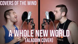 翻唱 | 电影《阿拉丁 | Aladdin》主题曲A Whole New World(cover by Stephen Scaccia)