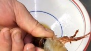 油焖大虾，详细教程，包括清洗龙虾的两种方法，一看就会