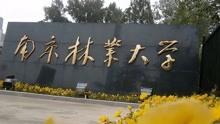 2021年中国高校80强： 南京林业大学
