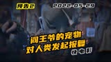 电影（怪谈）预告片花