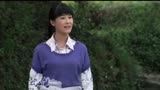 黄梅戏名家吴美莲，电视剧“郎对花姐对花”中精彩唱段（九）。