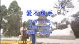 林俊贤主演的电视剧《唐太宗李世民》片头曲《爱不释手》