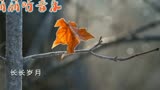 封神榜主题曲《神的传说》