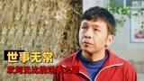 猛龙过沟：大老板怀表丢失，小伙主动帮忙送回，结果会如何呢