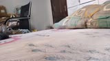 路障，铁皮，变形金刚玩具，定格动画