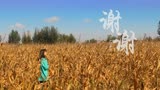 原创短片《谢谢》