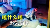 夫妻约定一起殉情，结果丈夫却没死？高分悬疑剧《猪猡之王》