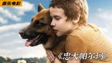 高分冷门佳作：忠犬竟被抛弃，却始终不离不弃！#忠犬帕尔玛