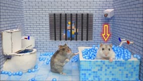 仓鼠走迷宫：仓鼠逃离五星级豪华监狱迷宫，警察会放过仓鼠吗？