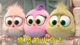  动画电影《愤怒的小鸟2》：小鸟精心照顾孩子，却为别人做了嫁衣