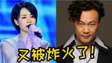 7天10亿，王菲演唱《万里归途》火遍全网，网友：又是唐恬写的