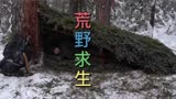 第2集_#纪录片 #荒野求生 #荒野独居 #荒野生存