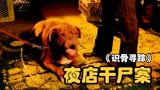 蹦个迪都能捡到木乃伊，寻尸犬找到重要线索《识骨寻踪》