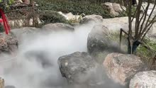 安徽合肥市包河区园博园雾森安装调试效果。#云雾缭绕人间仙境