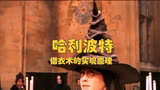 揭秘哈利波特世界的神秘魔法技能：借衣术的实现原理
