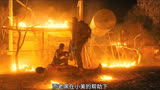 《侠盗》由梅根福克斯领衔主演