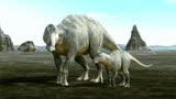 恐龙的行军7.埃德蒙顿龙为了吃口草，结果被厚鼻龙暴揍！