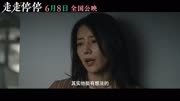 胡歌高圆圆主演电影《走走停停》发布最新预告 狂野一家劲爆日常
