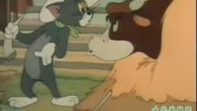 猫和老鼠(云南方言版)