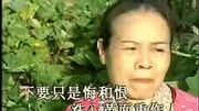 歌曲 铁窗泪音乐背景音乐视频音乐爱奇艺