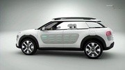 未来的极地悍将Citroen Cactus电影完整版视频在线观看爱奇艺