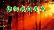 《你向我们走来》王俊玲纯唱版音乐背景音乐视频音乐爱奇艺